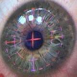 (Category: ) located in . Submitted by chrome_zzz (Listing ID 1351945656, Image 1). Description: .