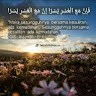 (Kategori: ) berada di . Dikirim oleh usman1411850090 (ID iklan 1376059872, Gambar 1). Deskripsi: .
