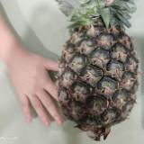 (Kategori: ) berada di . Dikirim oleh angelo338 (ID iklan 1330713211, Gambar 1). Deskripsi: .