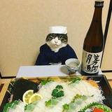 (分類:)位於 。 由 ga-to 提交(商品編號 1462325196,圖片 1)。簡介: 。