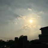 (Category: ) located in . Submitted by foryoubyme (Listing ID 1379122082, Image 1). Description: .