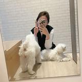 由 han17gg (刊登 ID 1353727094，圖片 1) 提交，位於 的 (類別：)，說明：。