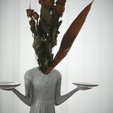 由 bansecondhandgoodsoutlet (刊登 ID 1386275067，圖片 1) 提交，位於 的 (類別：)，說明：。