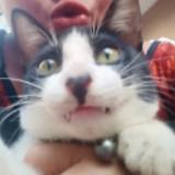 (Category: ) located in . Submitted by amongnitado (Listing ID 1381589724, Image 1). Description: .