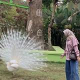 (Kategori: ) berada di . Dikirim oleh tasyantsy (ID iklan 1344238083, Gambar 1). Deskripsi: .