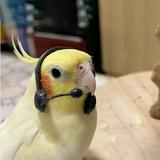 (Category: ) located in . Submitted by welcome7 (Listing ID 1373702594, Image 1). Description: .