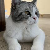 （分類：）位於 。 由 Sunny_CF 提交（商品編號 1382328437，圖片 1）。簡介： 。