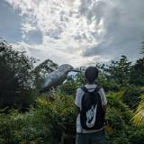 (Category: ) located in . Submitted by lakakaka8948 (Listing ID 1380803872, Image 1). Description: .