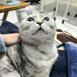 由 c5084041 (刊登 ID 1377142221，圖片 1) 提交，位於 的 (類別：)，說明：。