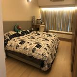 （分類：）位於 。 由 k_choy88 提交（商品編號 1361095020，圖片 1）。簡介： 。