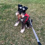 (Category: ) located in . Submitted by leoaus (Listing ID 1377918789, Image 1). Description: .