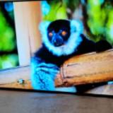 (Category: ) located in . Submitted by rk286633183503 (Listing ID 1381307395, Image 1). Description: .