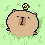(Category: ) located in . Submitted by capybarastare (Listing ID 1442702549, Image 1). Description: .