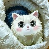 （分類：）位於 。 由 ka_ye19ma03 提交（商品編號 1365961631，圖片 1）。簡介： 。