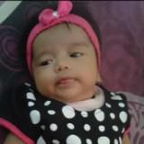 (Kategori: ) berada di . Dikirim oleh nasrulfebr20123 (ID iklan 1375469910, Gambar 1). Deskripsi: .