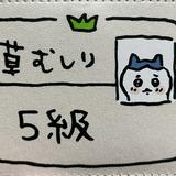 由 tokimarlex (刊登 ID 1375028443，圖片 1) 提交，位於 的 (類別：)，說明：。