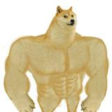 (Category: ) located in . Submitted by user73929191 (Listing ID 1383203508, Image 1). Description: .