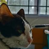 (Category: ) located in . Submitted by .hao. (Listing ID 1357367892, Image 1). Description: .