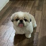 (Category: ) located in . Submitted by fyu1611 (Listing ID 1468669110, Image 1). Description: .