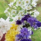 (Kategori: ) berada di . Dikirim oleh jelibngnting (ID iklan 1360486840, Gambar 1). Deskripsi: .