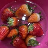 (Category: ) located in . Submitted by rabbitfatfat (Listing ID 1374987635, Image 1). Description: .