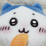 由 kuoyee_1127 (刊登 ID 1384371502，圖片 1) 提交，位於 的 (類別：)，說明：。