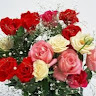 (Kategori: ) berada di . Dikirim oleh roselfairys88 (ID iklan 1383914921, Gambar 1). Deskripsi: .