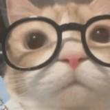(分類:)位於 。 由 now_from_then 提交(商品編號 1379619299,圖片 1)。簡介: 。