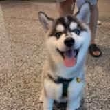(Category: ) located in . Submitted by thatsrightmytype (Listing ID 1437721669, Image 1). Description: .