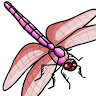 (Category: ) located in . Submitted by maliminson (Listing ID 1373298326, Image 1). Description: .