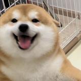 (Category: ) located in . Submitted by yumyumyumyummmmm (Listing ID 1360536641, Image 1). Description: .