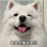 由 katy0711 (刊登 ID 1355232000，圖片 1) 提交，位於 的 (類別：)，說明：。