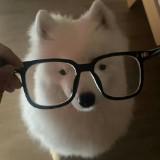 (Category: ) located in . Submitted by lisaquinon67710 (Listing ID 1379427929, Image 1). Description: .