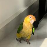 (Category: ) located in . Submitted by birdboarderelmo (Listing ID 1319166616, Image 1). Description: .