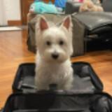 (Category: ) located in . Submitted by enjoying_my_life (Listing ID 1340415072, Image 1). Description: .