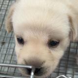 (Category: ) located in . Submitted by mikenjs (Listing ID 1241825113, Image 1). Description: .