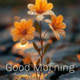 (Category: ) located in . Submitted by syamooo (Listing ID 1351360166, Image 1). Description: .