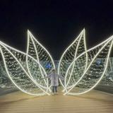 由 willwillwill12 (刊登 ID 1379894405，圖片 1) 提交，位於 的 (類別：)，說明：。
