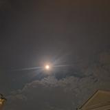 (Category: ) located in . Submitted by ht658 (Listing ID 1339826683, Image 1). Description: .