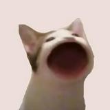 (Category: ) located in . Submitted by yeetingouttahere (Listing ID 1369950538, Image 1). Description: .