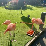 (Category: ) located in . Submitted by budoy1234 (Listing ID 1385132636, Image 1). Description: .