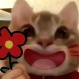 (Kategori: ) berada di . Dikirim oleh himeow (ID iklan 1372161220, Gambar 1). Deskripsi: .