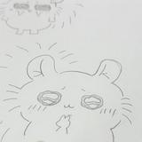 由 hinnnks (刊登 ID 1339774138，圖片 1) 提交，位於 的 (類別：)，說明：。