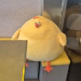 (Category: ) located in . Submitted by unkwnko (Listing ID 1068638442, Image 1). Description: .