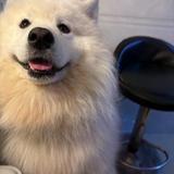（分類：）位於 。 由 bobo12333 提交（商品編號 1384945524，圖片 1）。簡介： 。