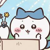 由 chiiiikawa_ (刊登 ID 1383441015，圖片 1) 提交，位於 的 (類別：)，說明：。
