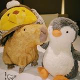 (Category: ) located in . Submitted by enjy2710 (Listing ID 1380082288, Image 1). Description: .