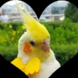 （分類：）位於 。 由 yukobbhome 提交（商品編號 1363957191，圖片 1）。簡介： 。