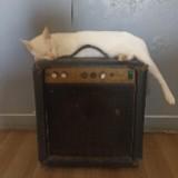 (Category: ) located in . Submitted by chums828 (Listing ID 1358053090, Image 1). Description: .