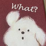 由 dxsyg (刊登 ID 1383830618，圖片 1) 提交，位於 的 (類別：)，說明：。